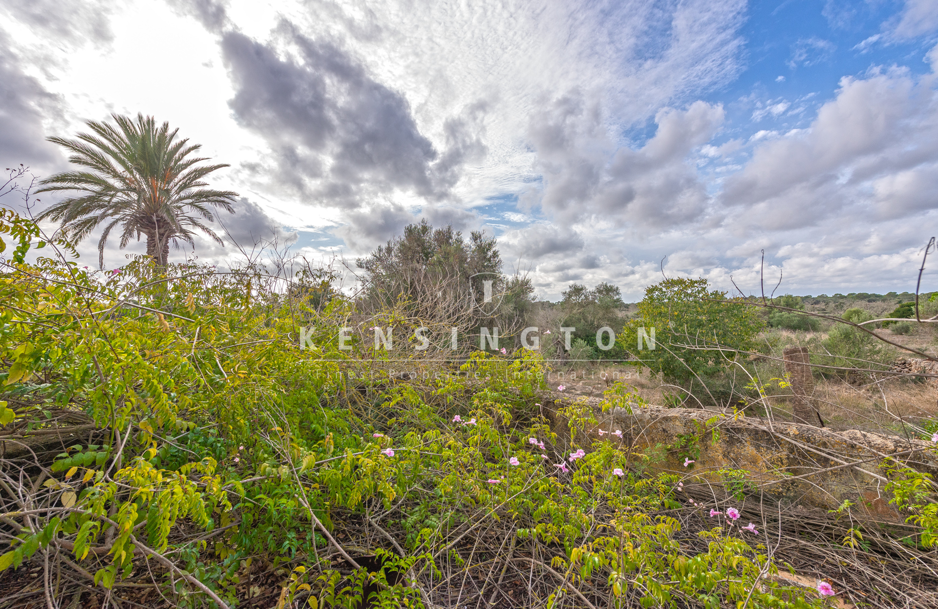 Large rural finca with many possibilities in Llucmajor, Mallorca · Image gallery 11