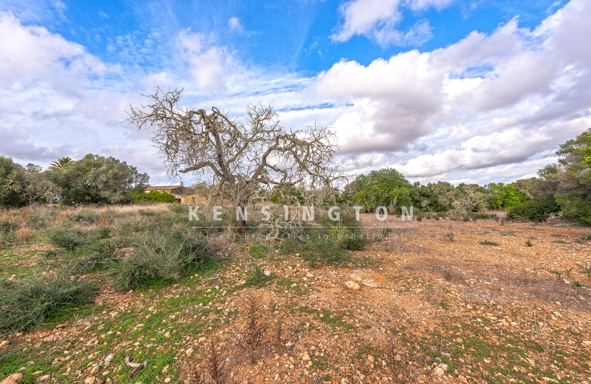 Large rural finca with many possibilities in Llucmajor, Mallorca · Image gallery 18