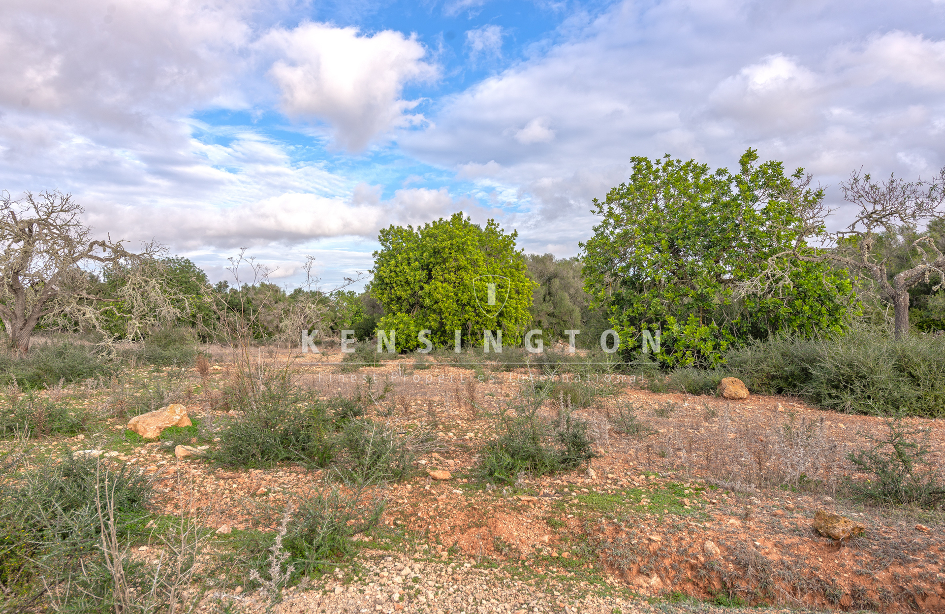 Large rural finca with many possibilities in Llucmajor, Mallorca · Image gallery 13