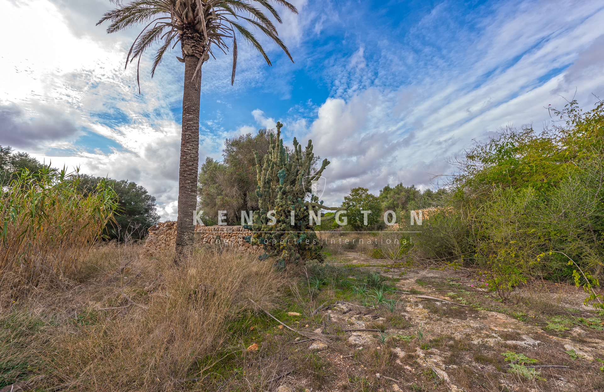 Large rural finca with many possibilities in Llucmajor, Mallorca · Image gallery 19