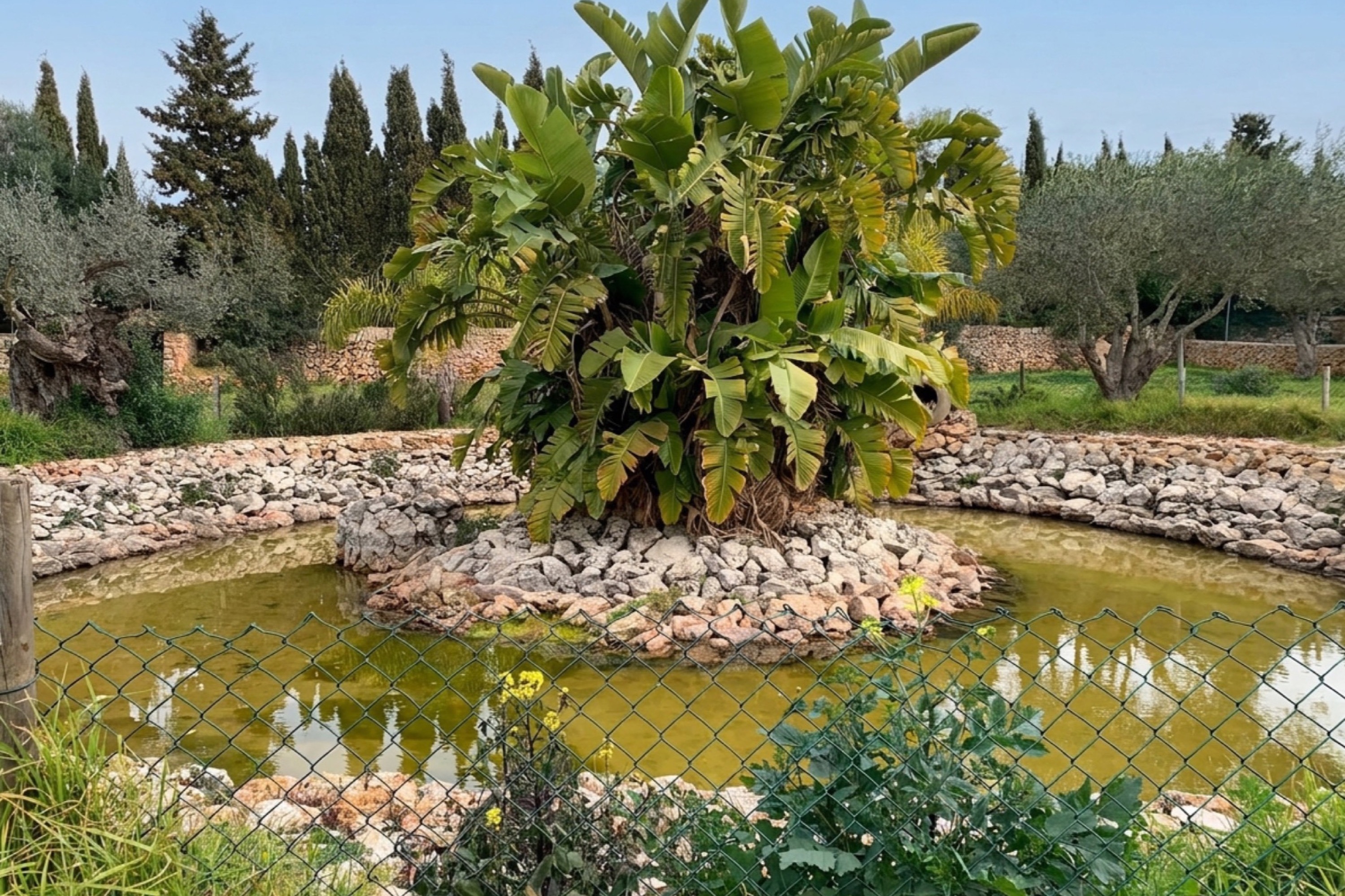 Großzügige Naturstein-Finca mit großem Pool und Meerblick vom 1. Stock