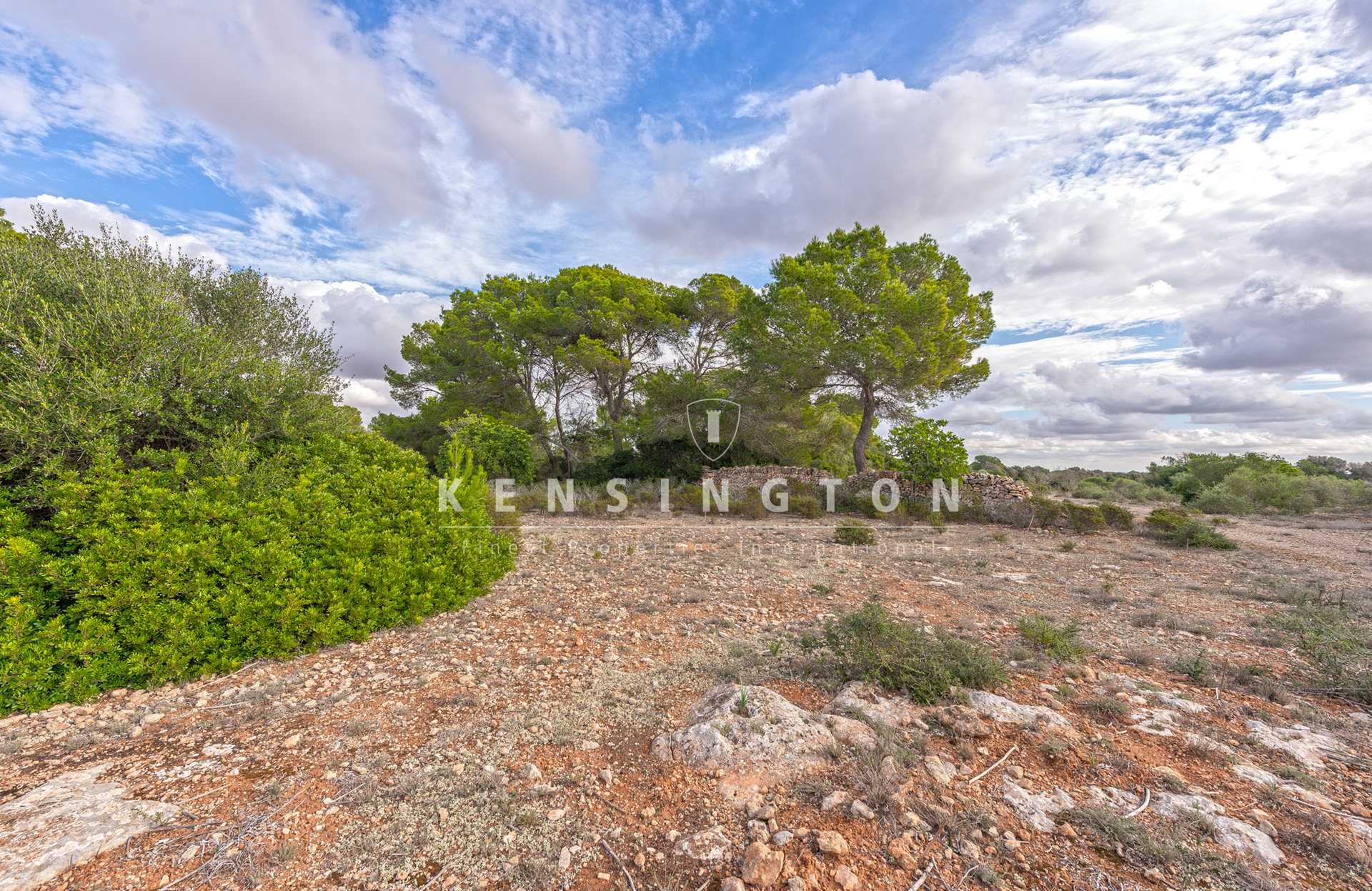 Large rural finca with many possibilities in Llucmajor, Mallorca · Image gallery 17