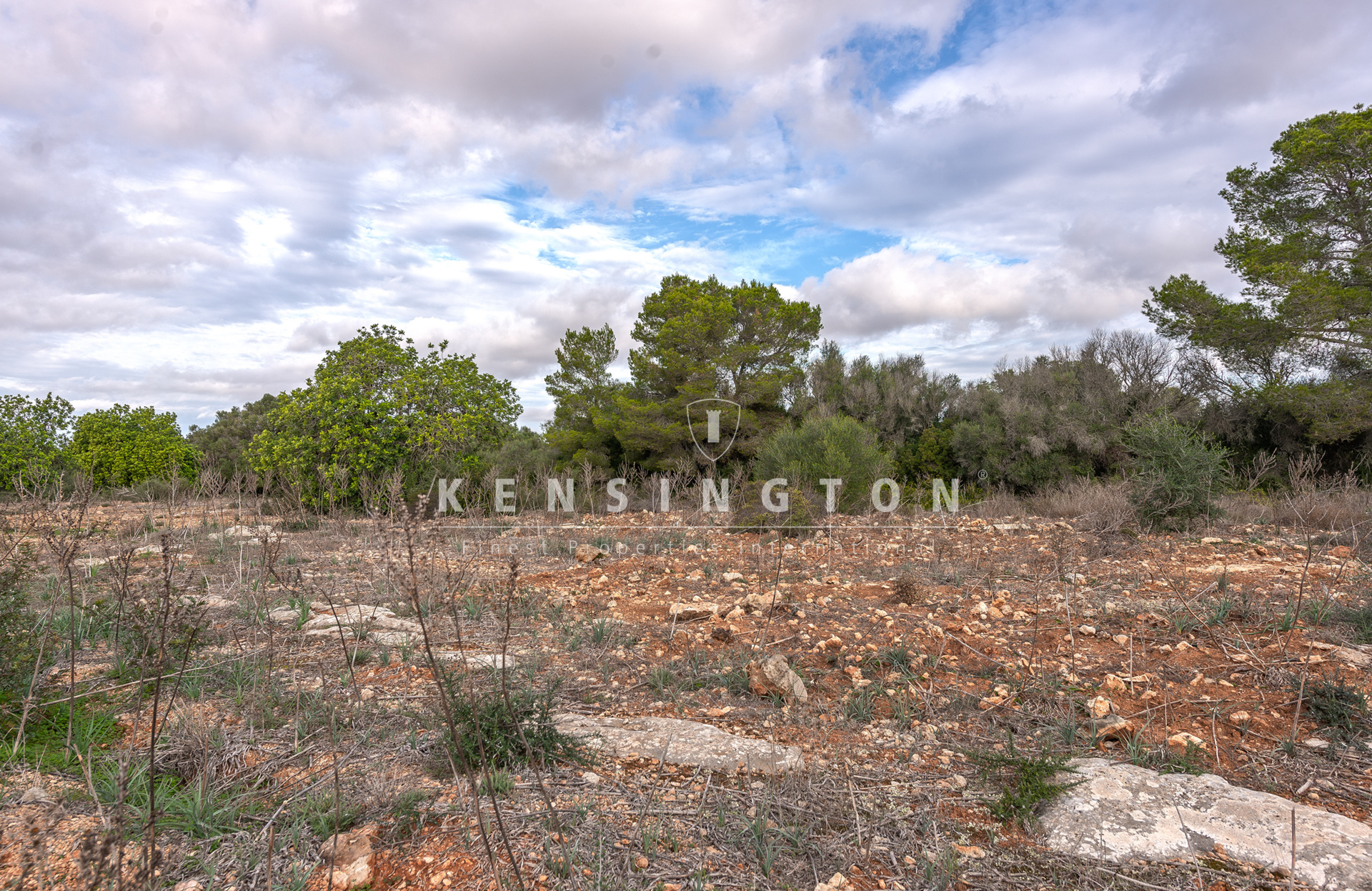 Large rural finca with many possibilities in Llucmajor, Mallorca · Image gallery 26