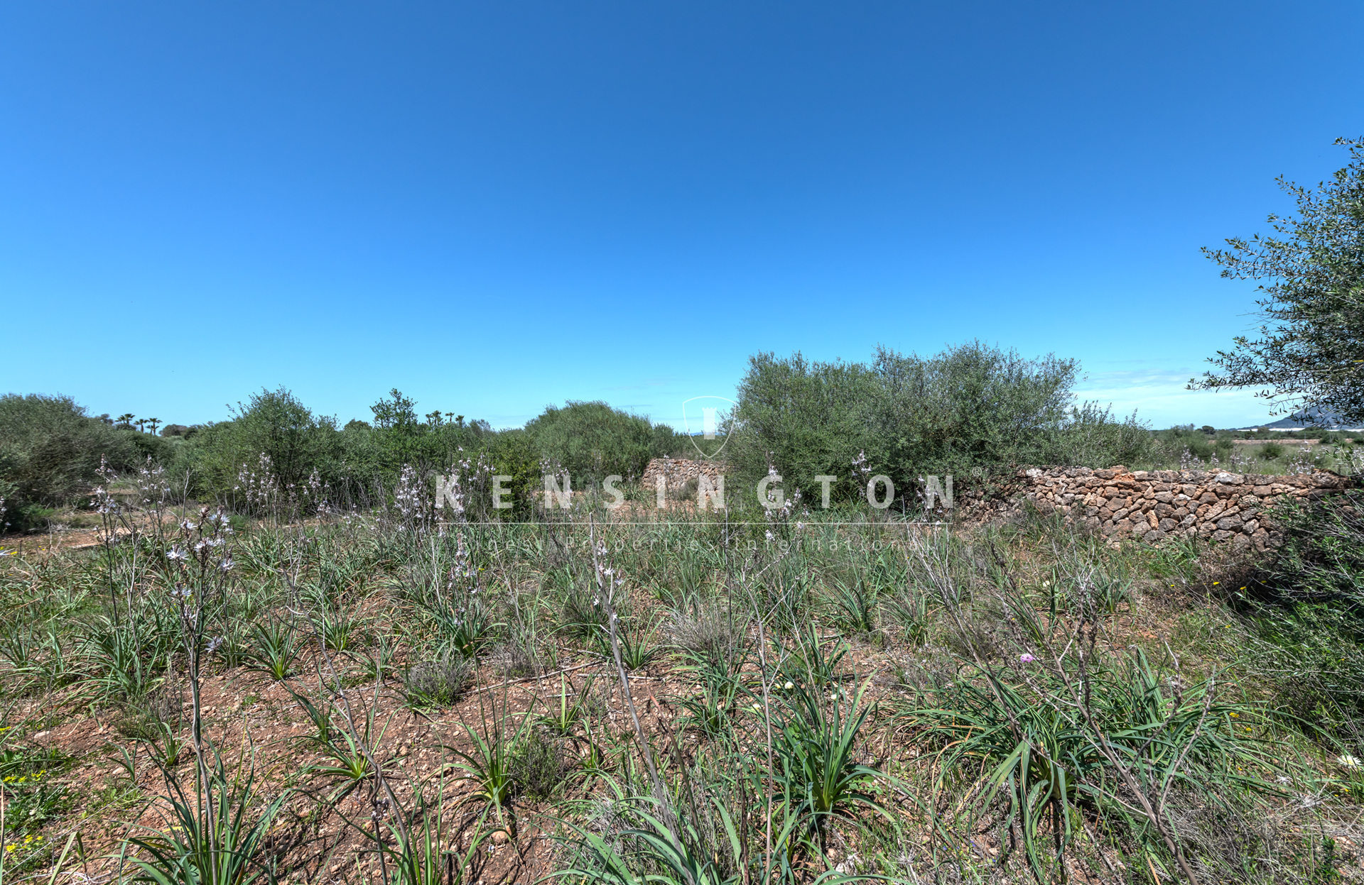 Large buildable plot near Golf Son Antem in Llucmajor, Mallorca · Image gallery 12