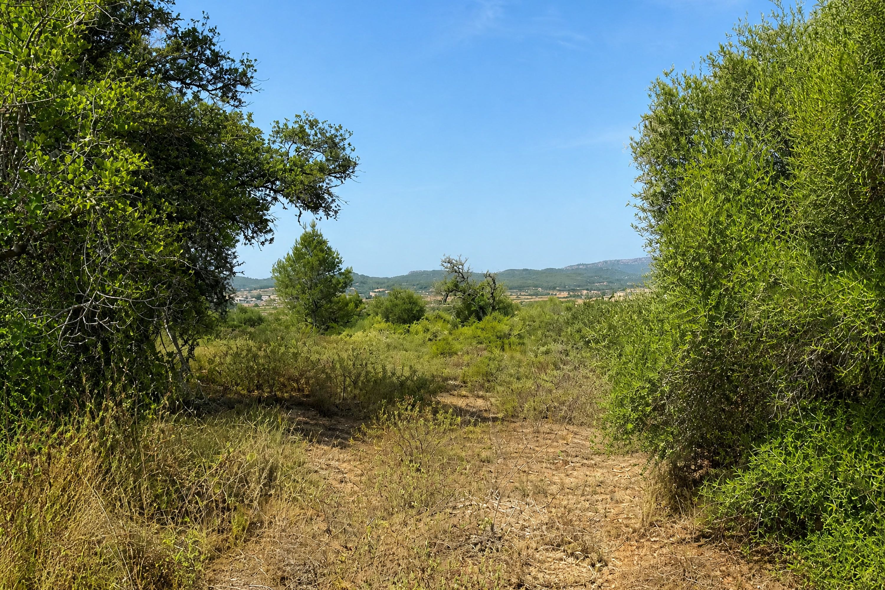 Natursteinfinca mit Pool, Pferdekoppel, Gästehaus und Weitblick (MIETE MÖGLICH) · Bildergalerie 49