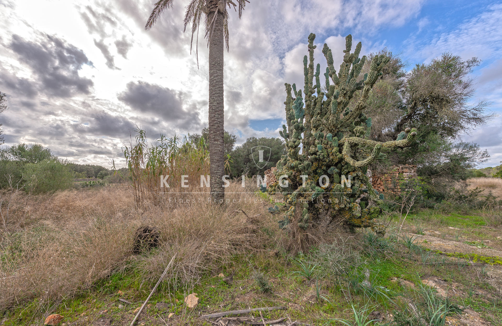 Large rural finca with many possibilities in Llucmajor, Mallorca · Image gallery 20