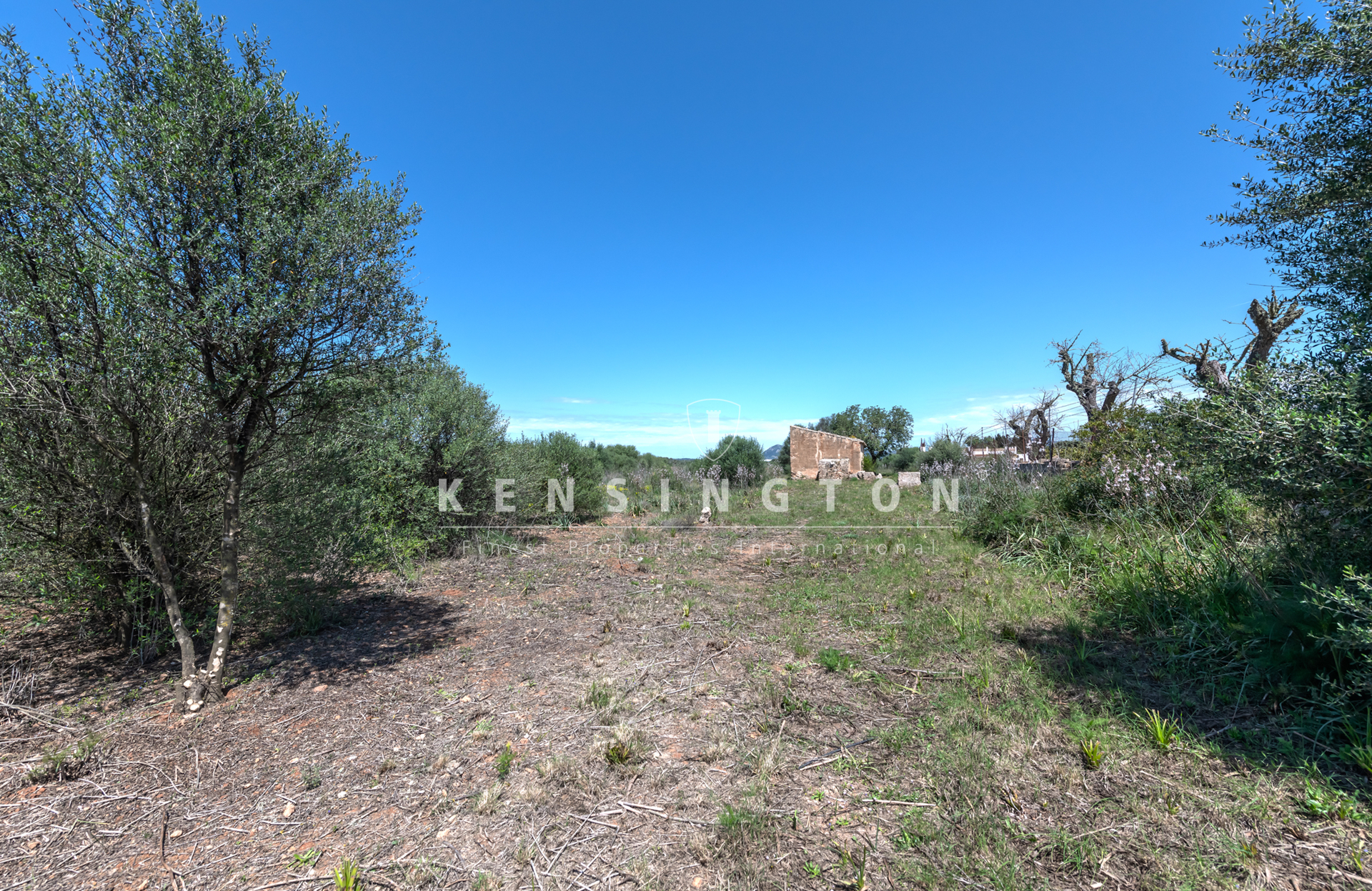 Large buildable plot near Golf Son Antem in Llucmajor, Mallorca · Image gallery 10