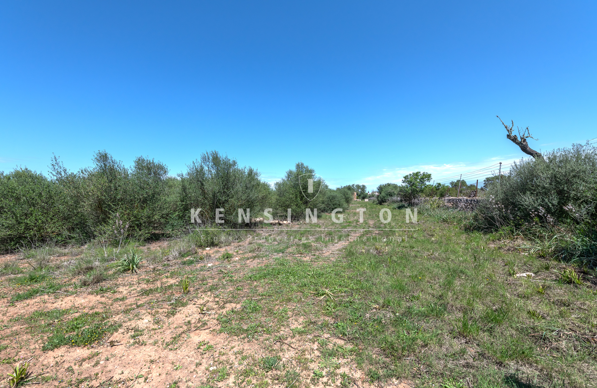 Large buildable plot near Golf Son Antem in Llucmajor, Mallorca · Image gallery 9