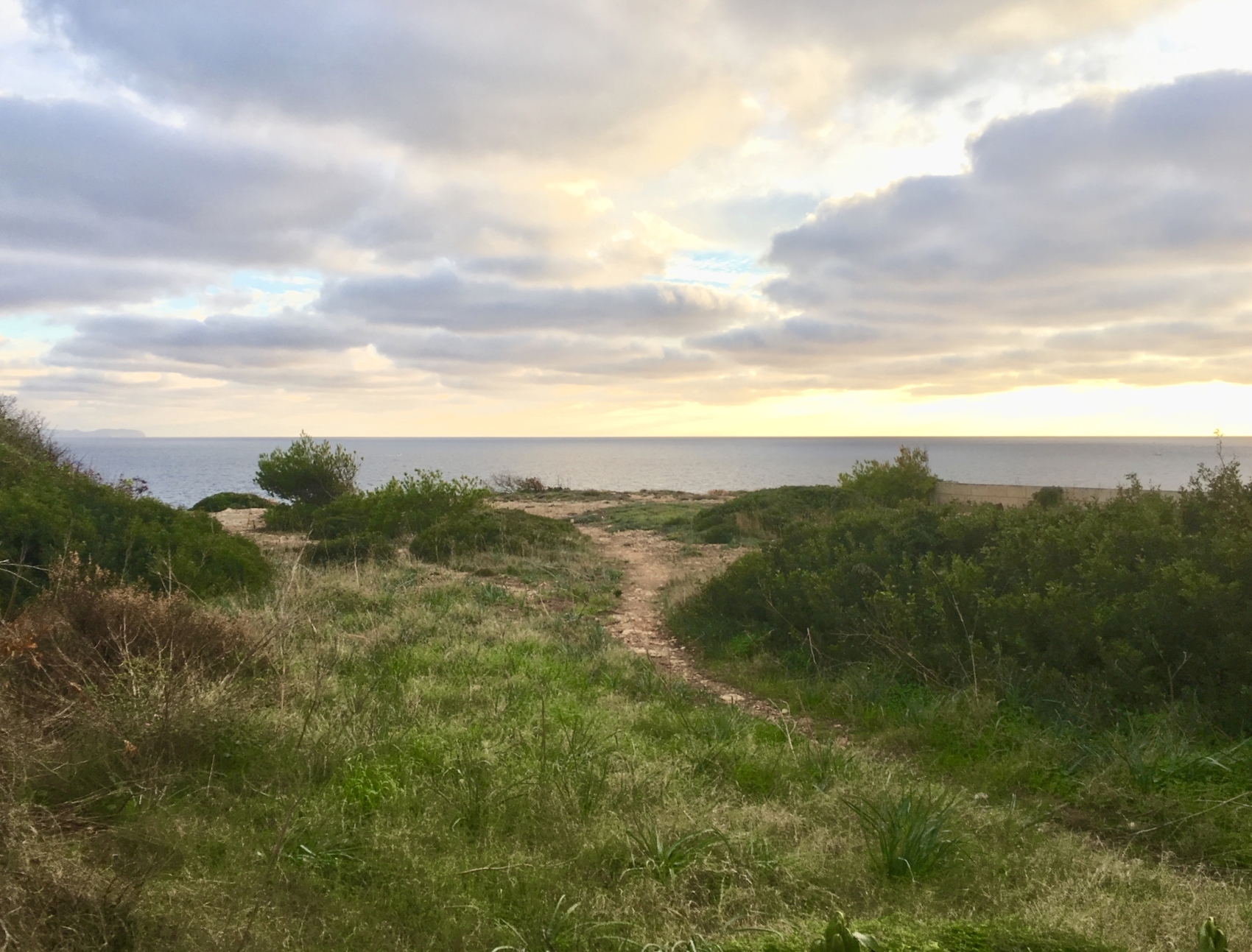 Frontline plot with views of Cabrera in Vallgornera Nou, Mallorca
