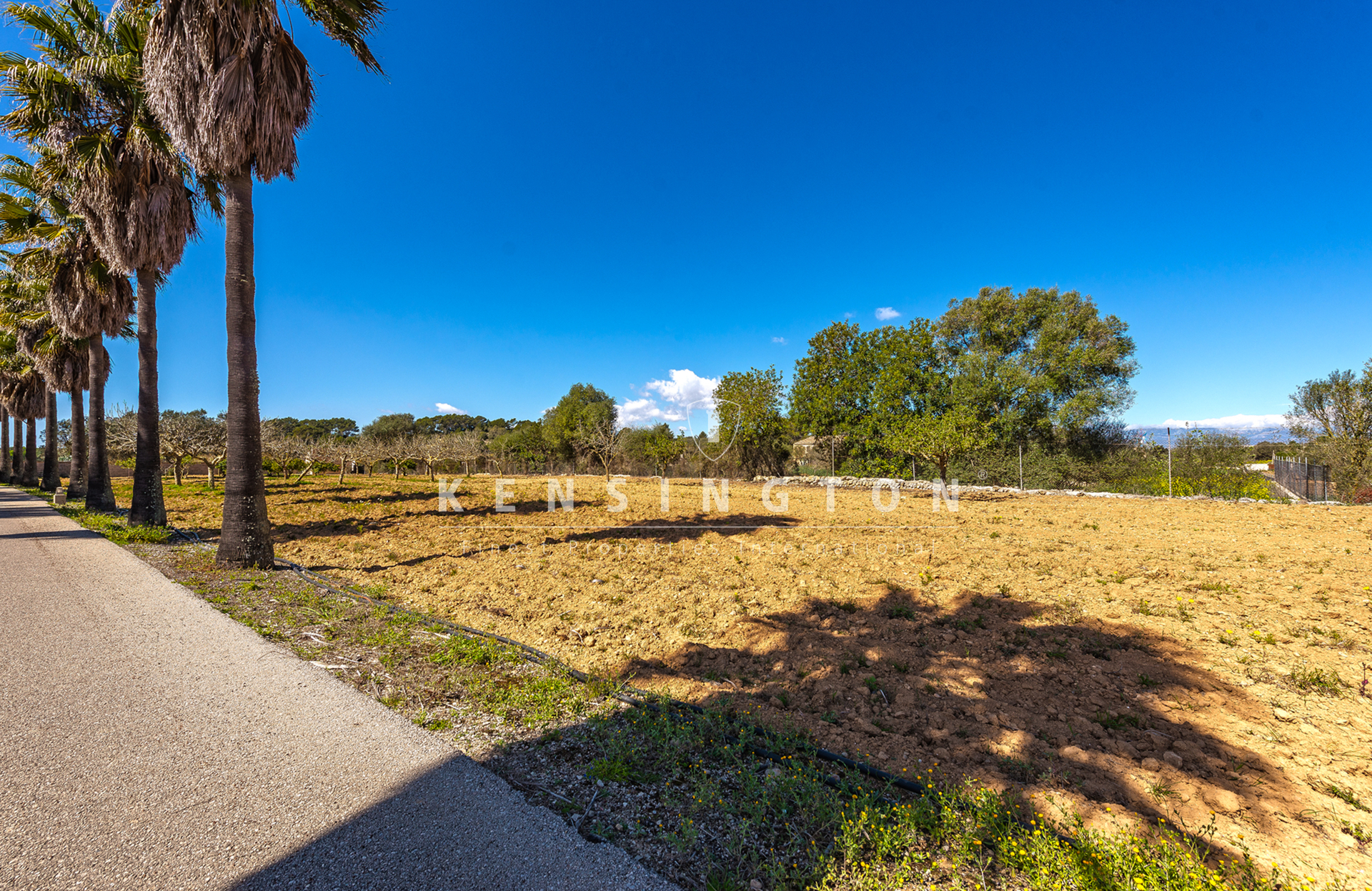Schöne und ruhige Finca mit Pool nahe Algaida, Mallorca
