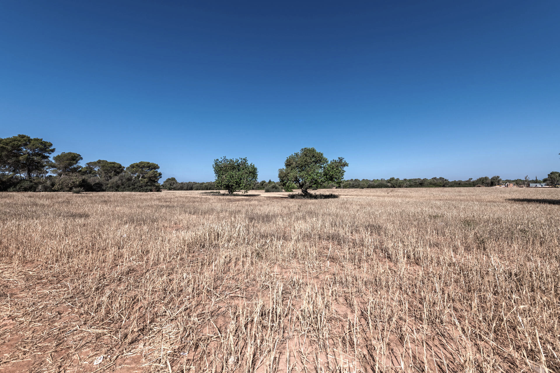 Hochwertige Neubau-Finca mit Pool bei Llucmajor, Mallorca · Image gallery 28