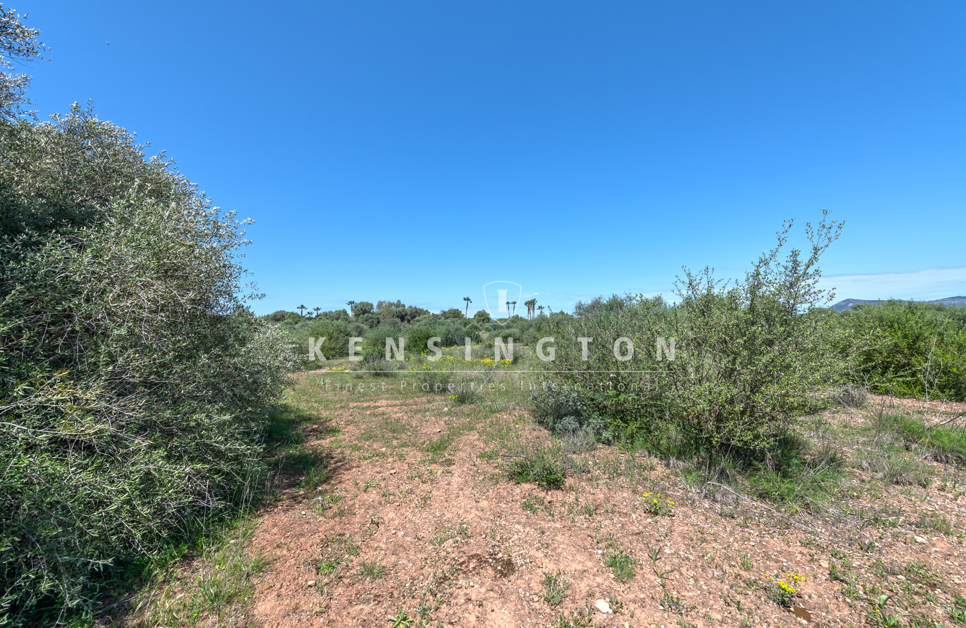 Large buildable plot near Golf Son Antem in Llucmajor, Mallorca · Image gallery 13