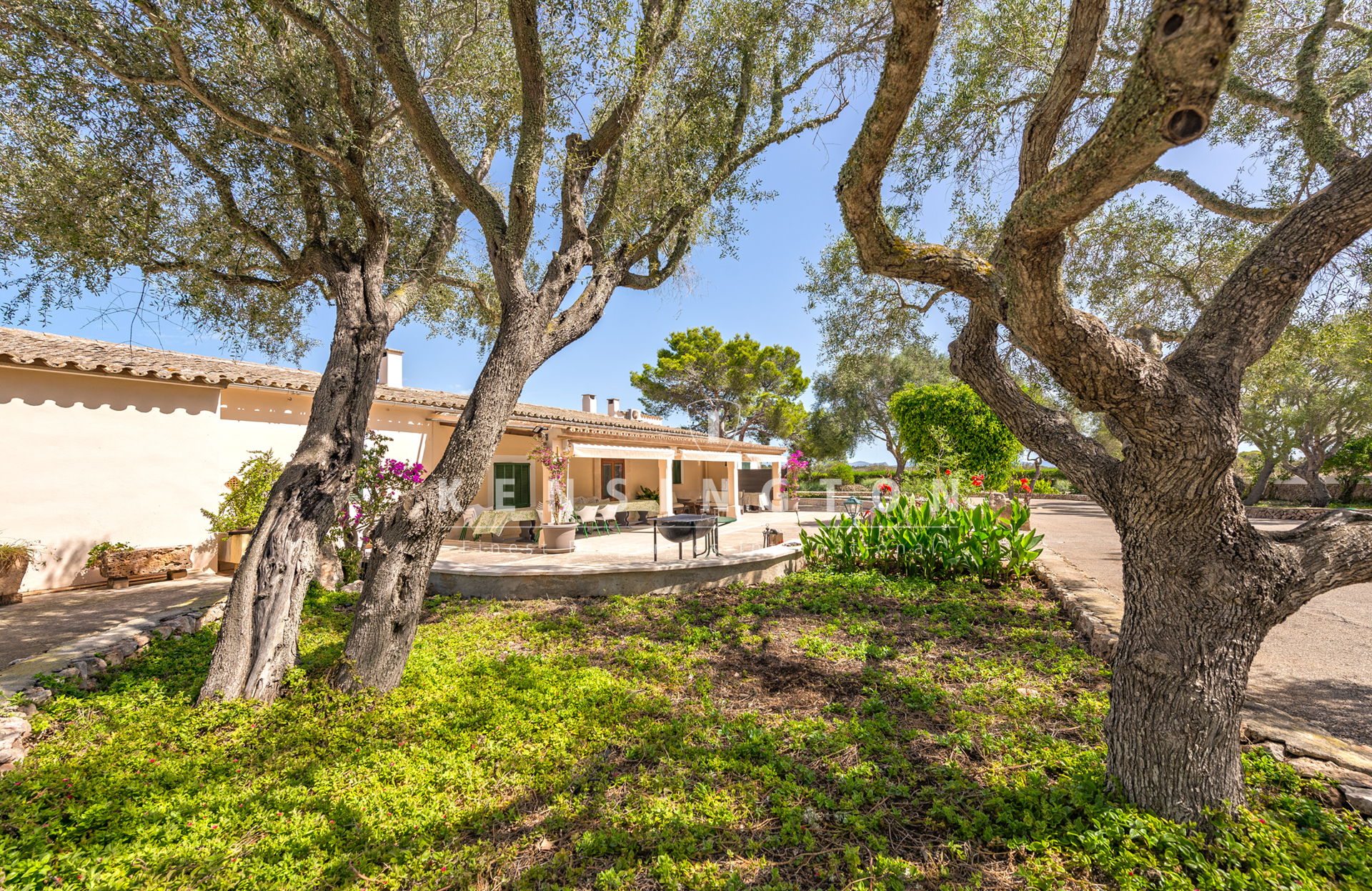 Finca con licencia de agroturismo cerca de Badia Gran, Llucmajor, Mallorca · Galería 17