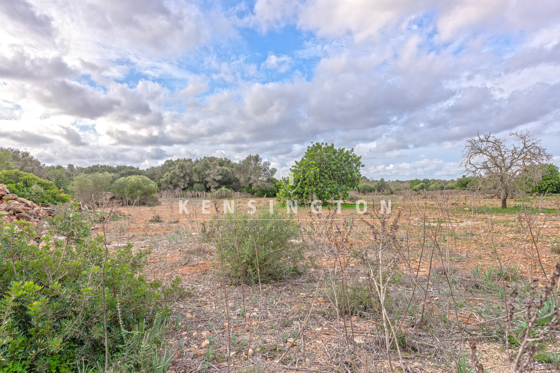 Large rural finca with many possibilities in Llucmajor, Mallorca · Image gallery 27