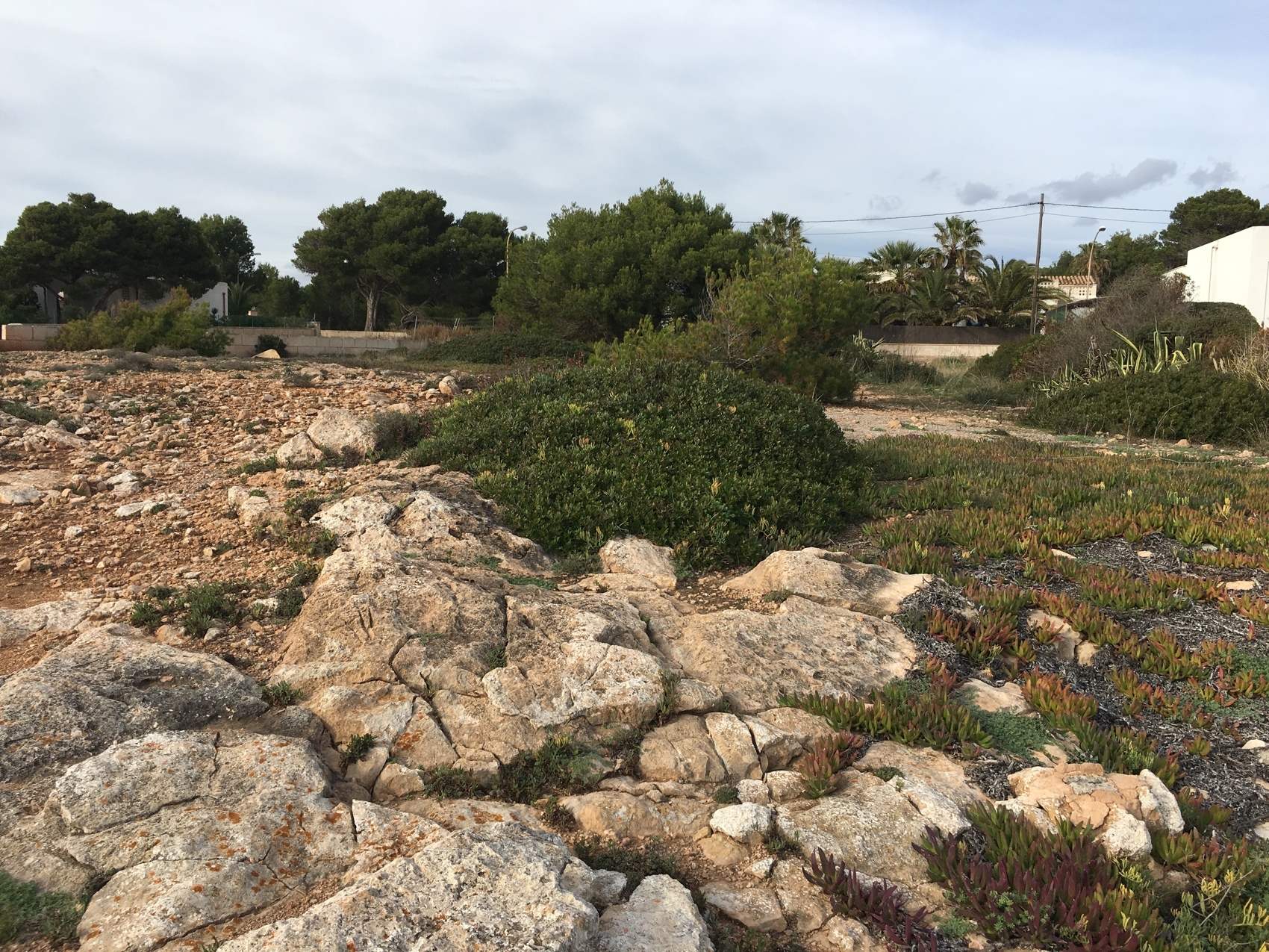 Frontline plot with views of Cabrera in Vallgornera Nou, Mallorca · Image gallery 10