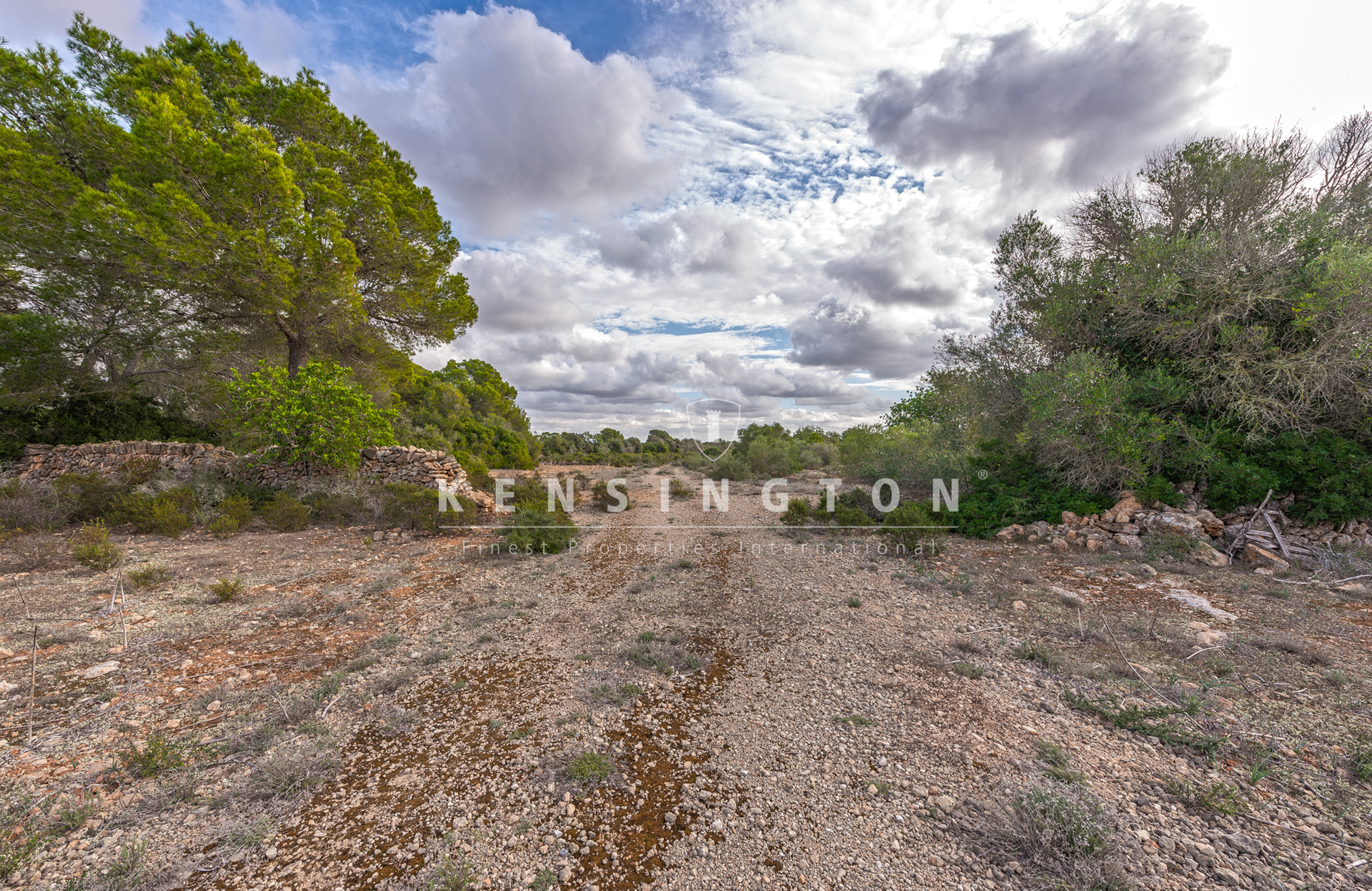 Large rural finca with many possibilities in Llucmajor, Mallorca · Image gallery 16