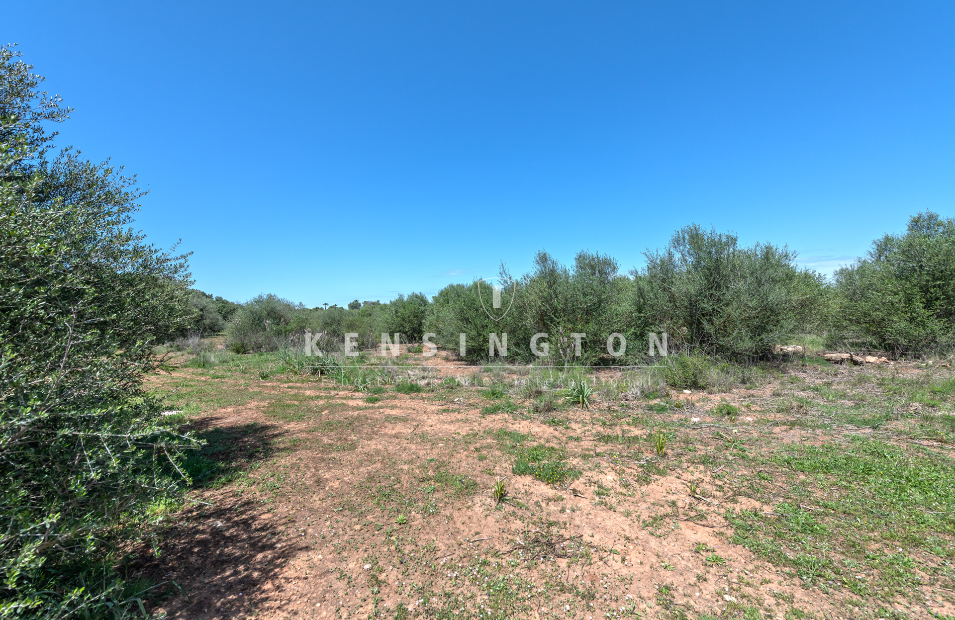 Großes bebaubares Grundstück in der Nähe von Golf Son Antem in Llucmajor, Mallorca