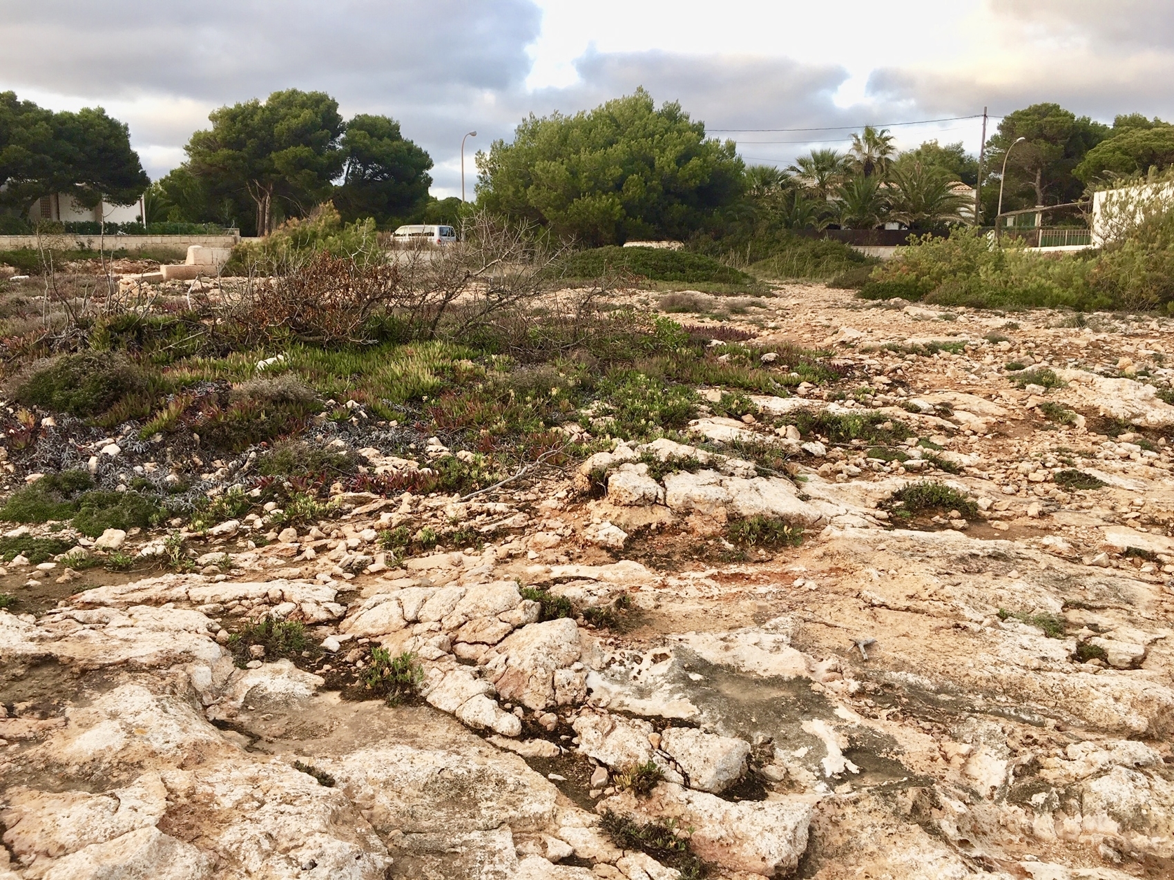 Frontline plot with views of Cabrera in Vallgornera Nou, Mallorca · Image gallery 9