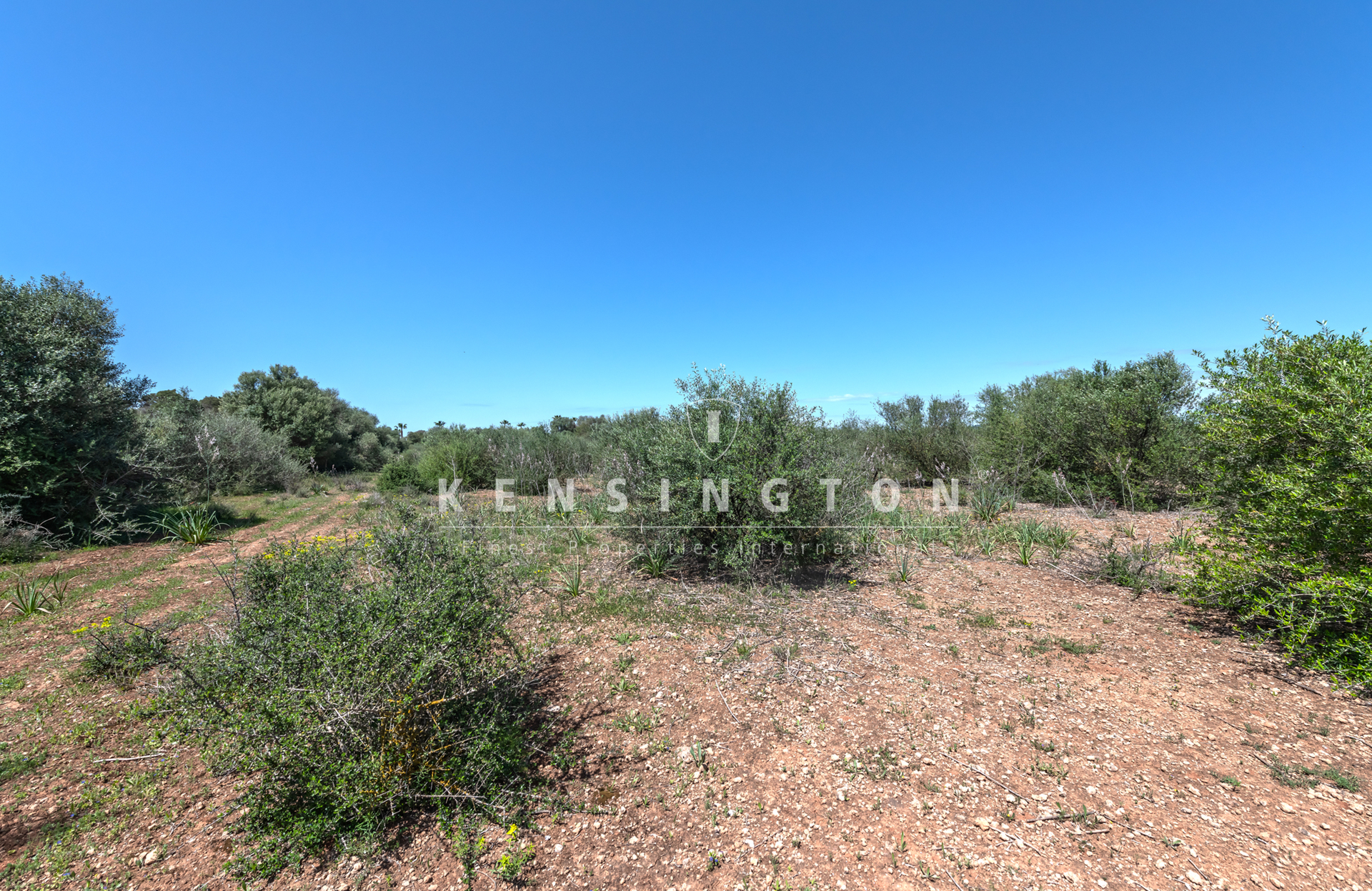 Großes bebaubares Grundstück in der Nähe von Golf Son Antem in Llucmajor, Mallorca