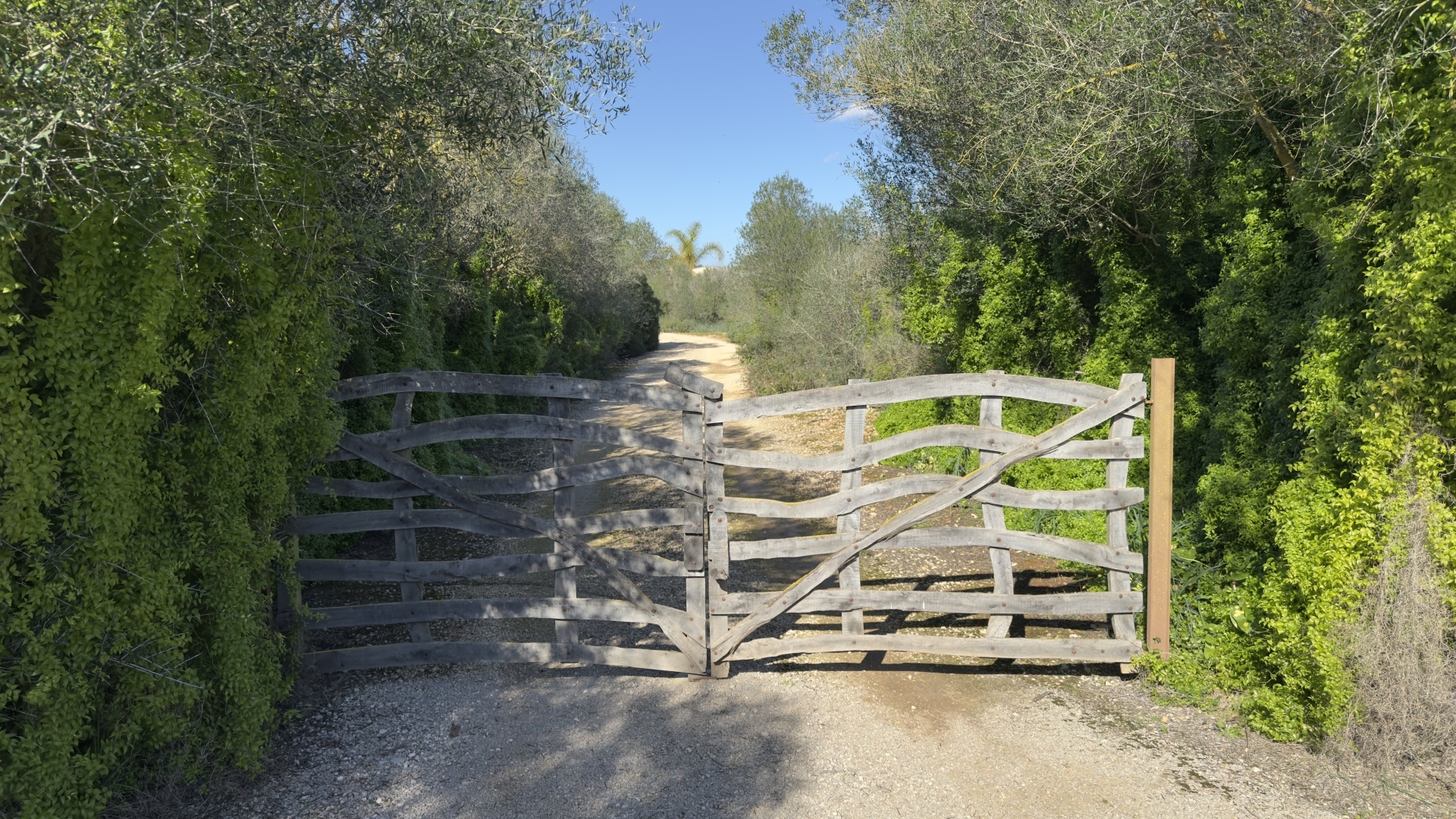 New-build finca near Es Trenc beach in Sa Ràpita, Mallorca · Image gallery 68