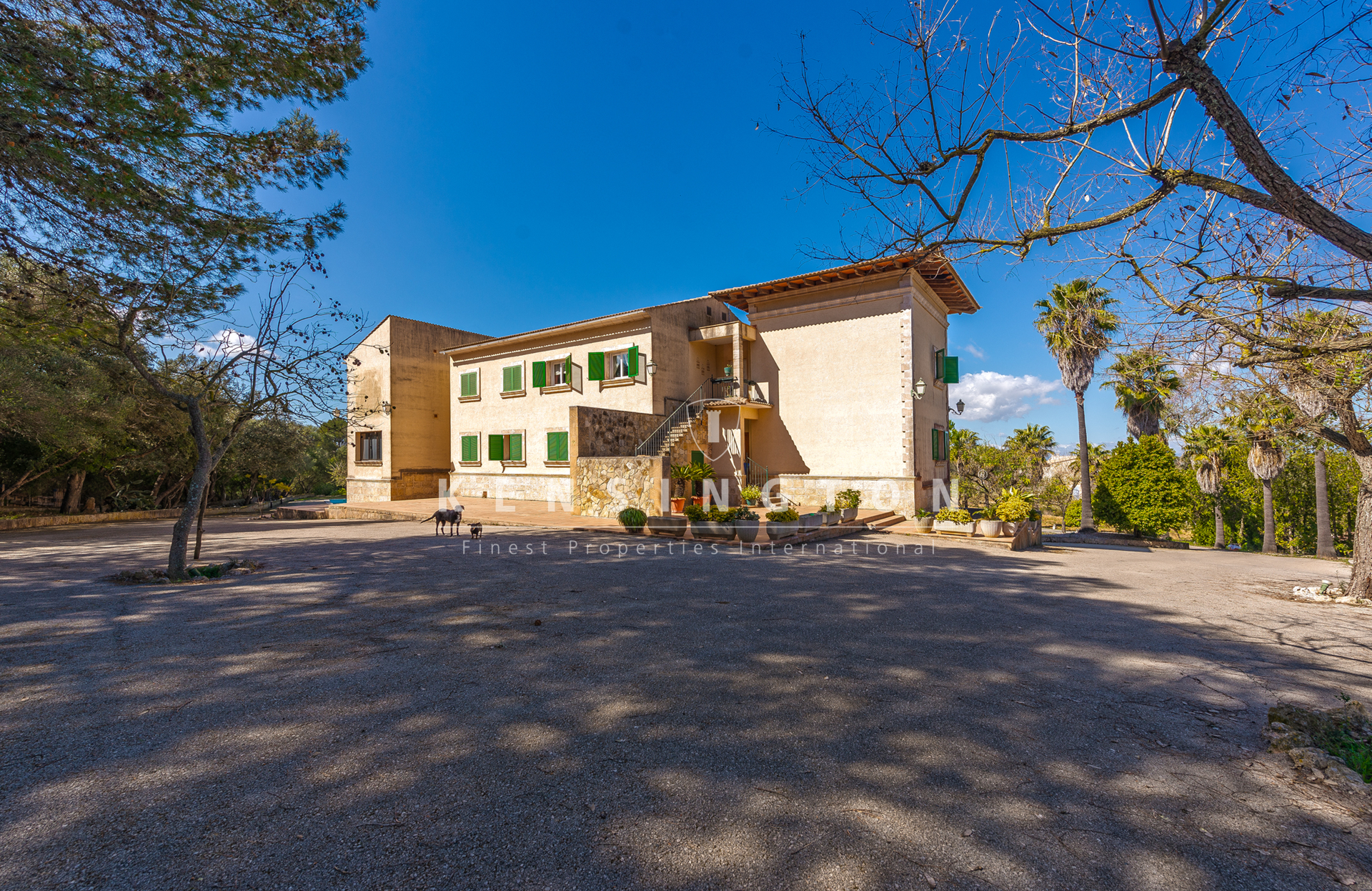 Bonita y tranquila finca con piscina cerca de Algaida, Mallorca · Galería 10