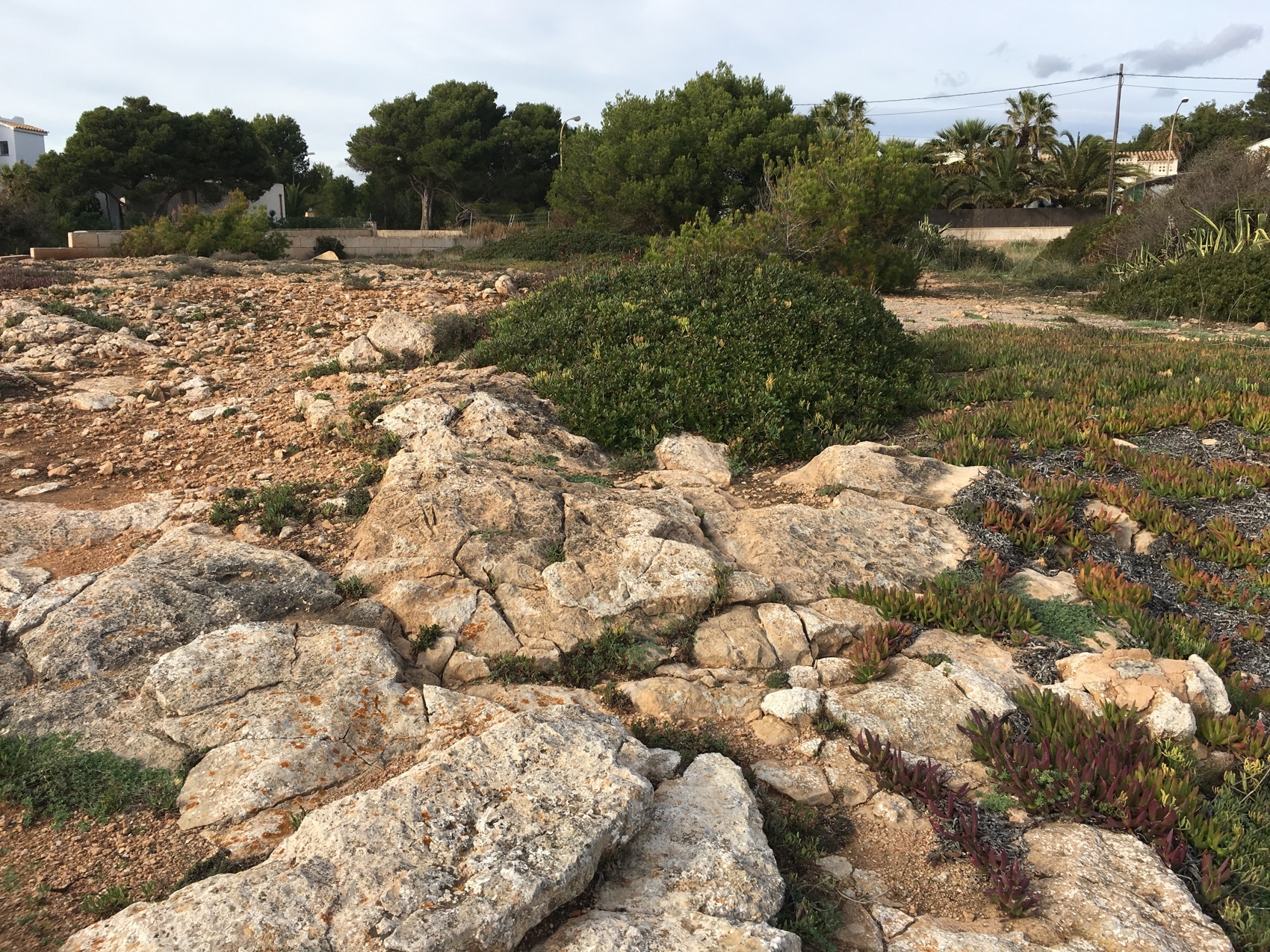 Frontline plot with views of Cabrera in Vallgornera Nou, Mallorca