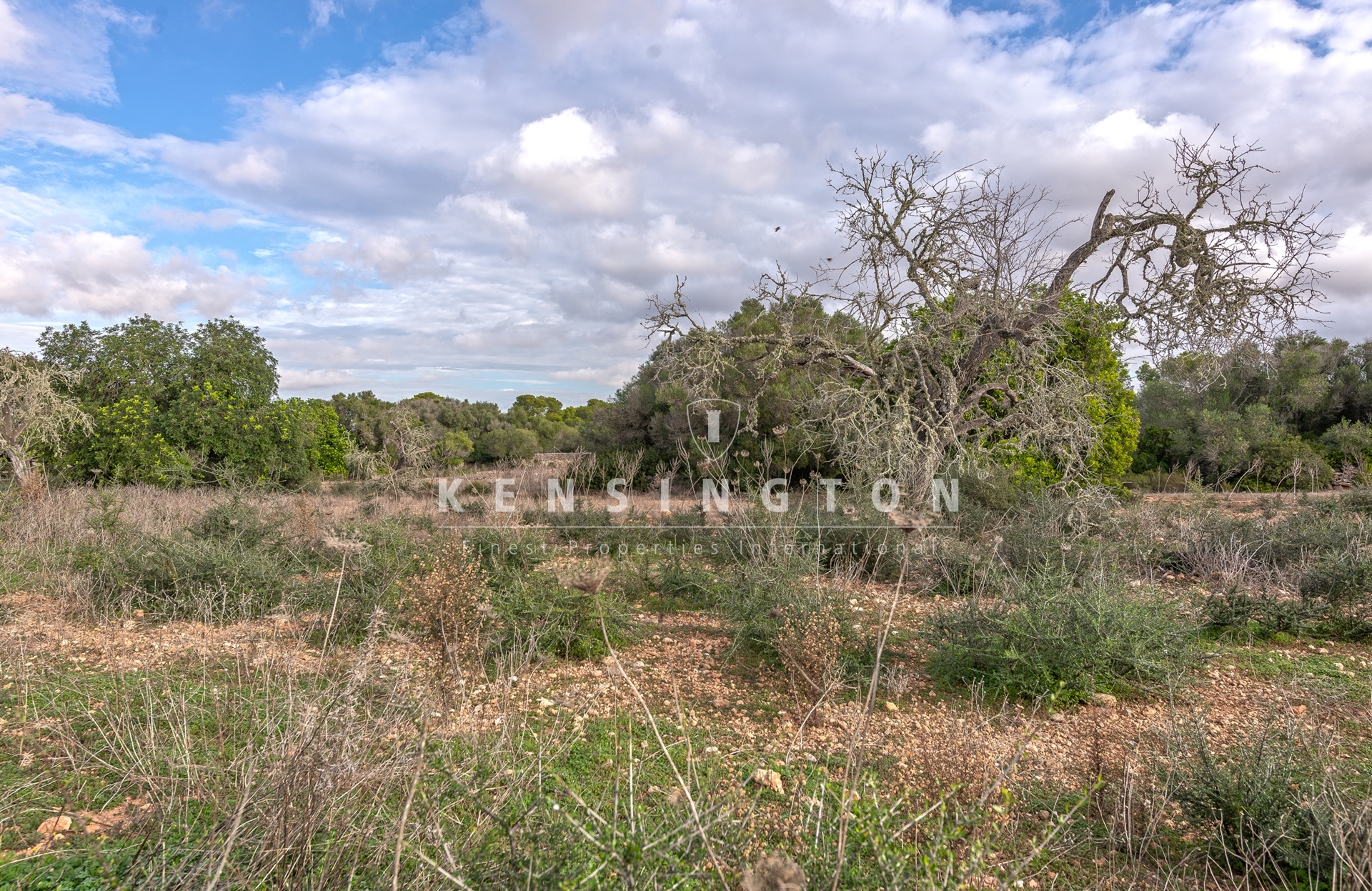 Large rural finca with many possibilities in Llucmajor, Mallorca · Image gallery 23