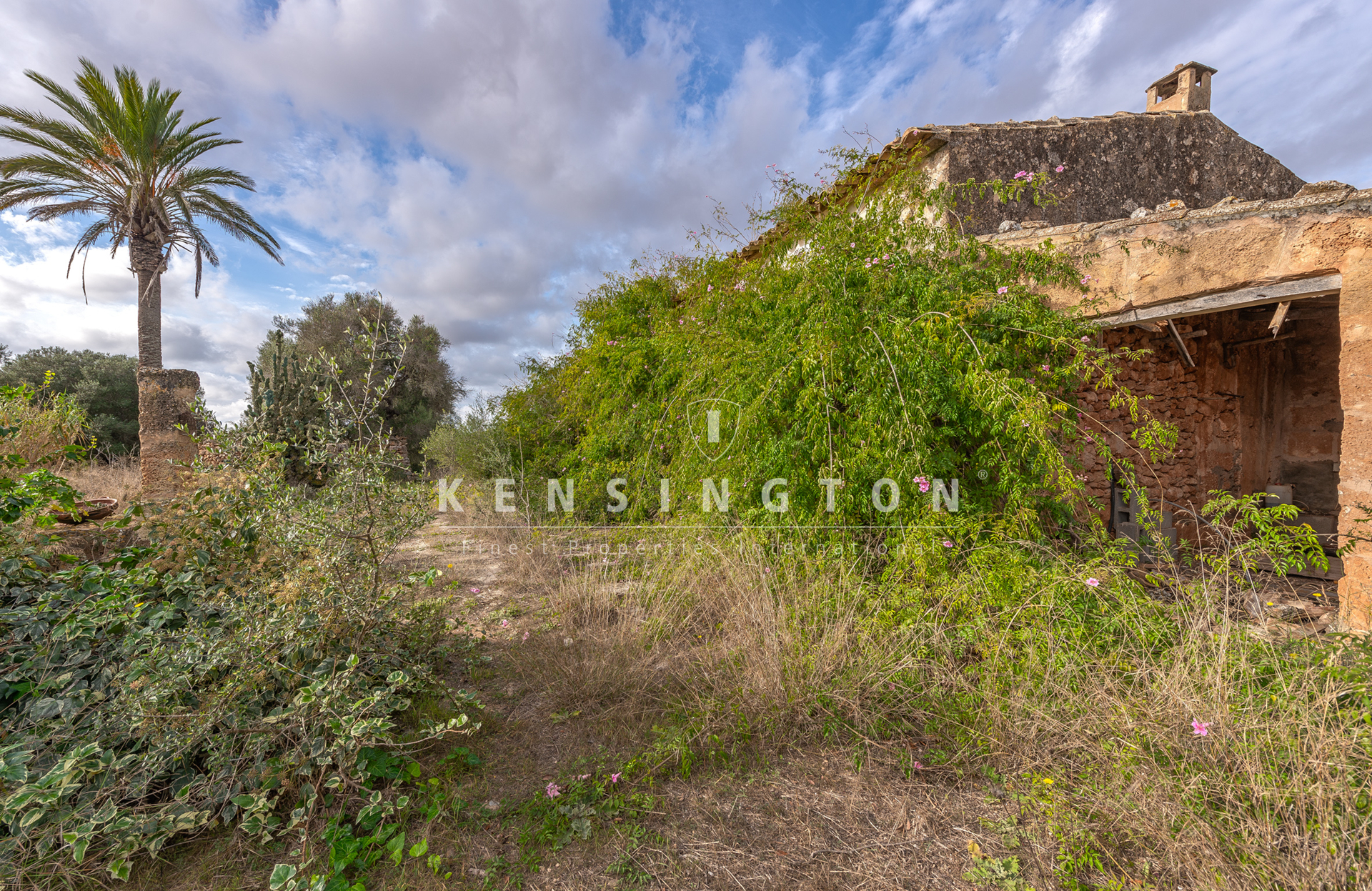 Large rural finca with many possibilities in Llucmajor, Mallorca · Image gallery 22