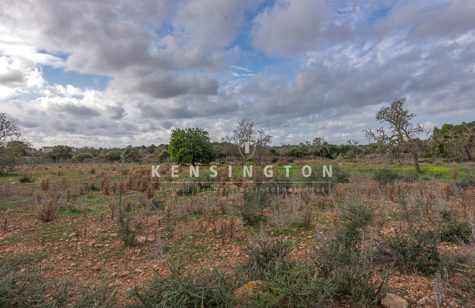 Large rural finca with many possibilities in Llucmajor, Mallorca · Image gallery 24