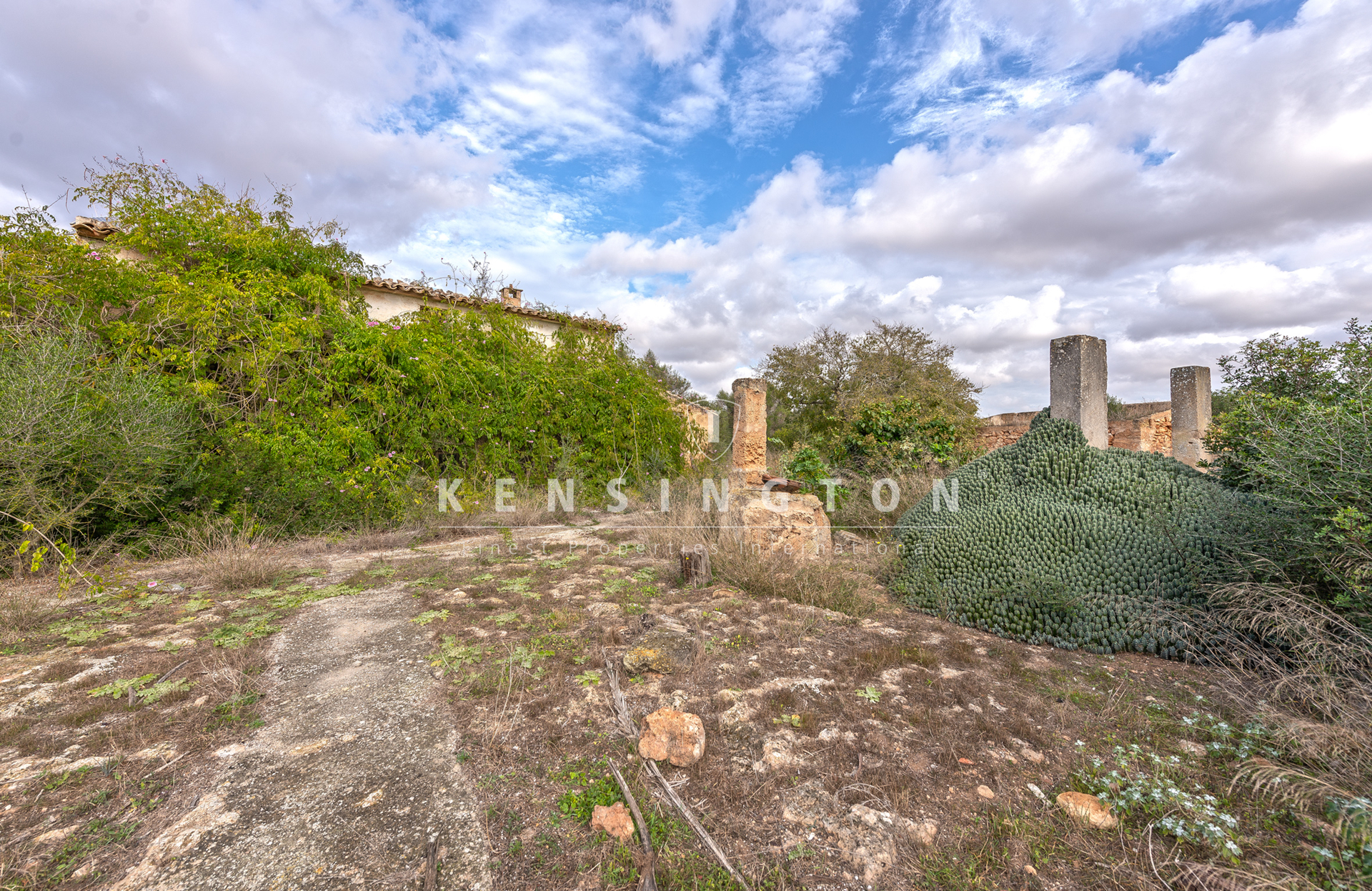 Large rural finca with many possibilities in Llucmajor, Mallorca · Image gallery 12