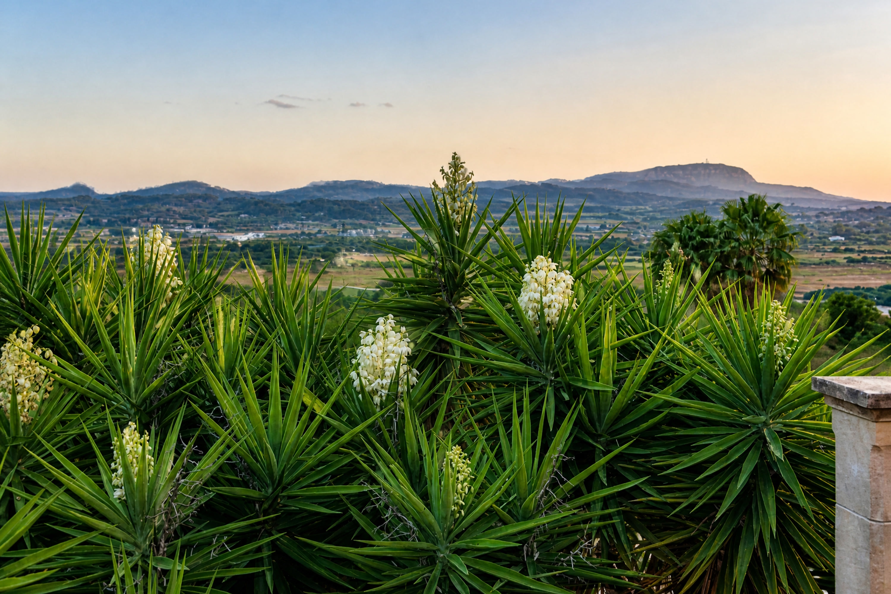 Natursteinfinca mit Pool, Pferdekoppel, Gästehaus und Weitblick (MIETE MÖGLICH) · Bildergalerie 16