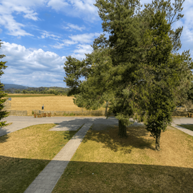 Blick ins Grüne