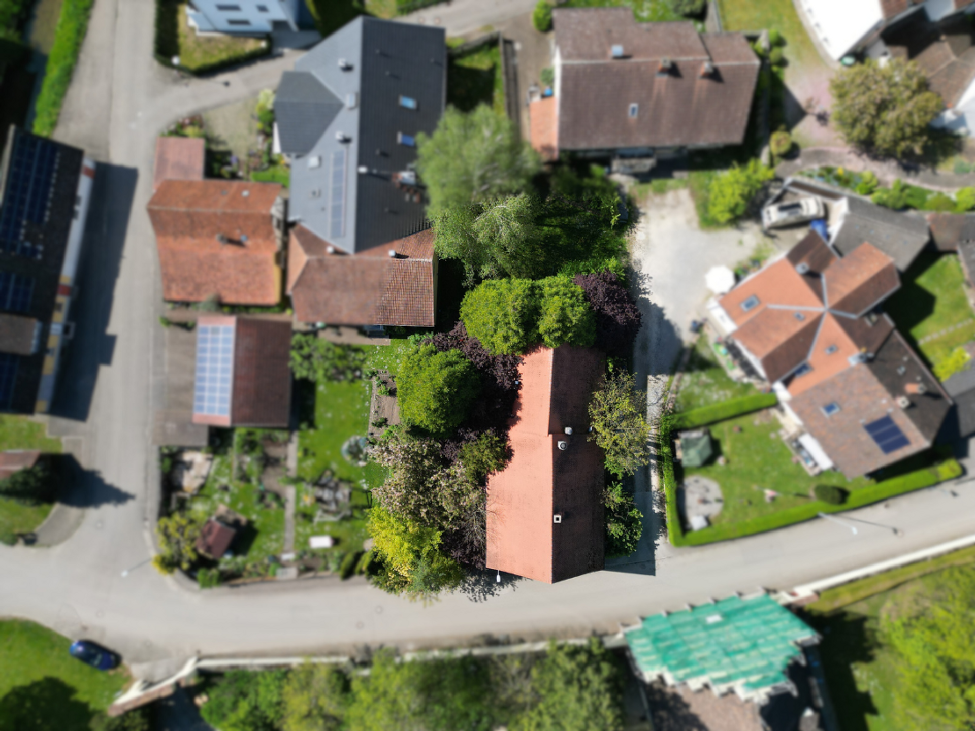 Draufsicht