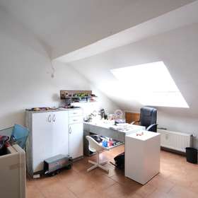 DG Studio