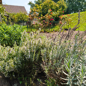 Kräutergarten