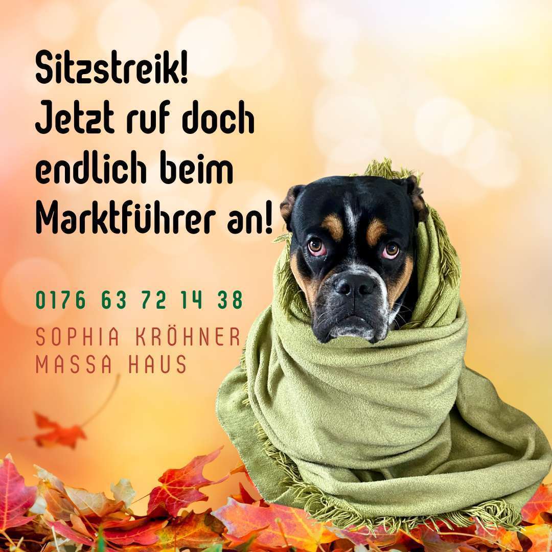 grünes Grundstück mit spektakulärem Haus – Bild 4