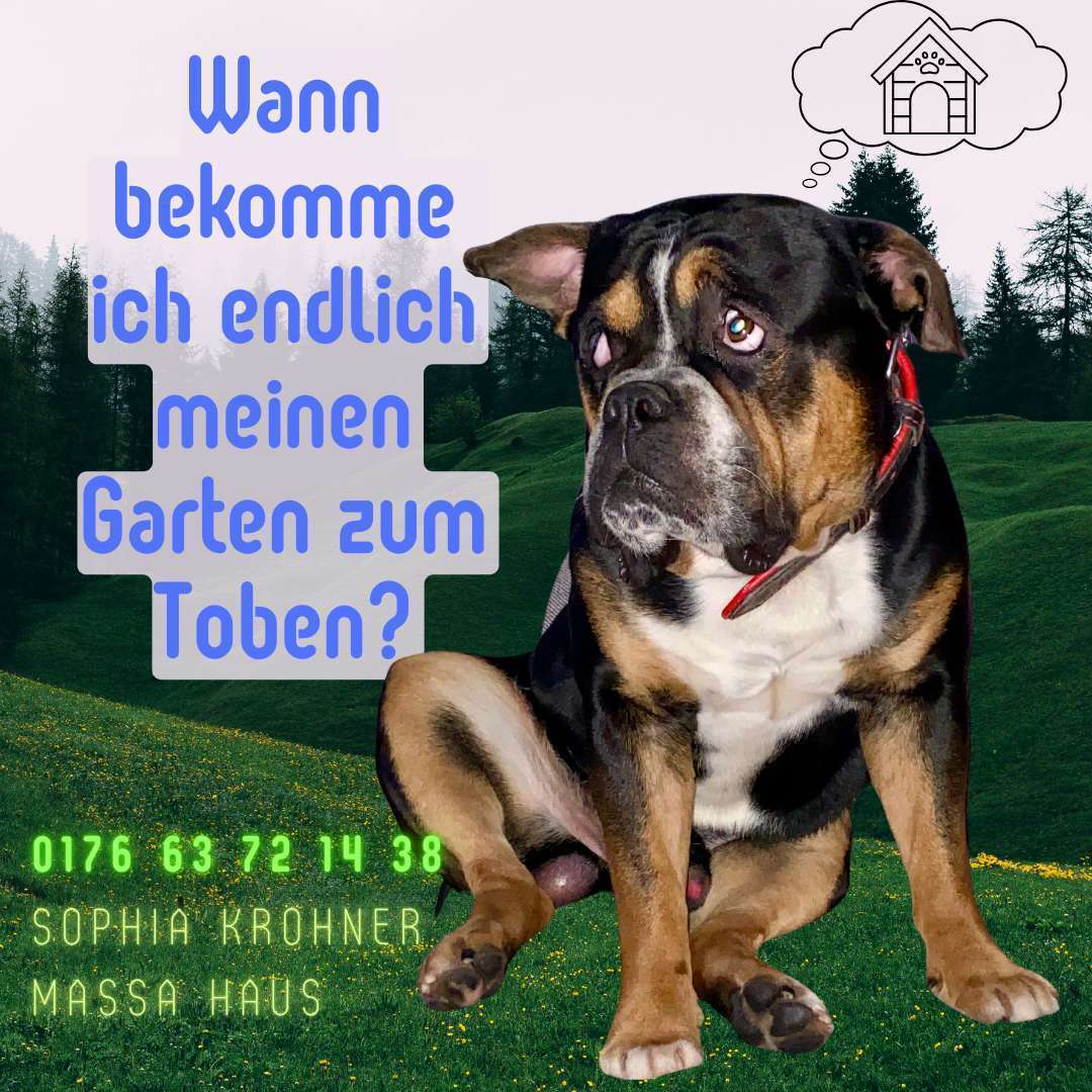 134 m² pure Wohnfreude - Durchdacht & perfekt für Euren Alltag