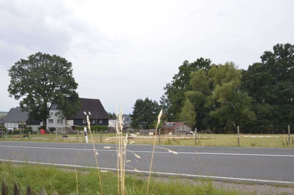 Freiheit gibt's in deinen eigenen 4 Wänden! – Bild 3