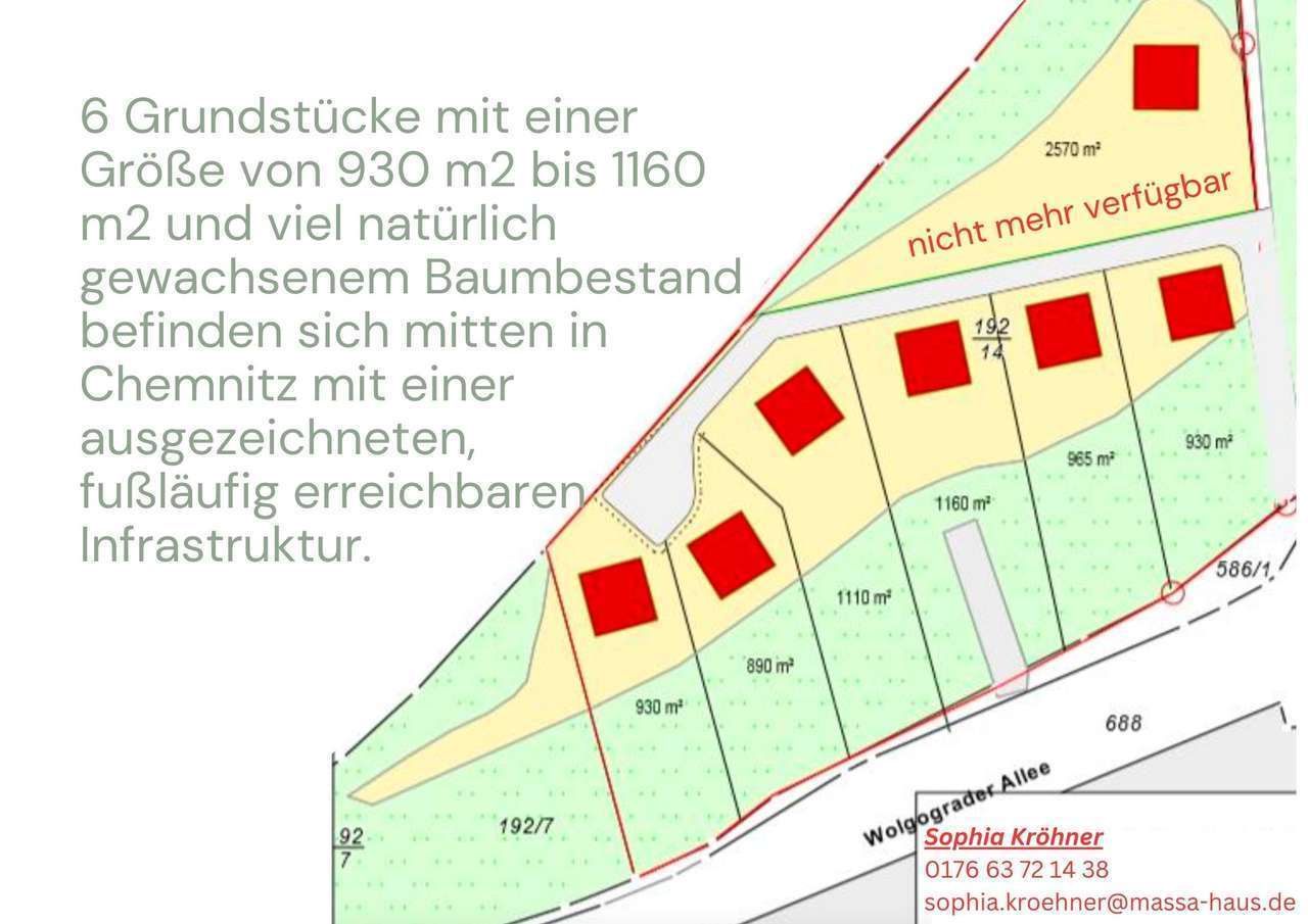 Stadtvilla im Grünen mitten in der Stadt – Bild 5