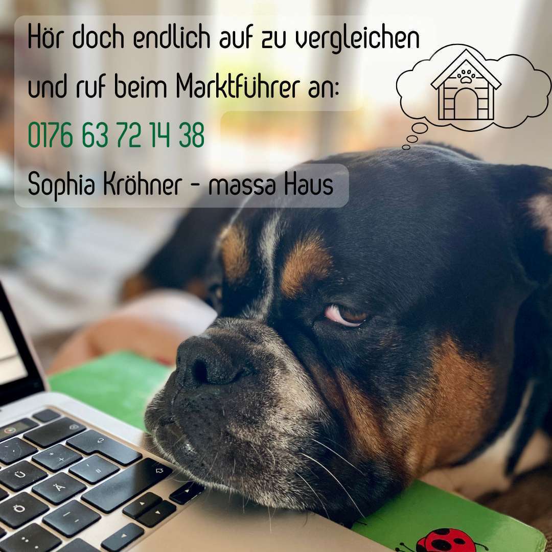 Mach deins draus mit individualisierbarem Grundriss und Eigenleistung beim Innenausbau