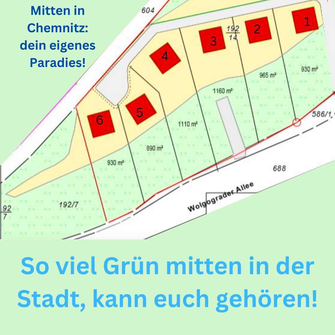 grünes Grundstück mit spektakulärem Haus – Bild 5