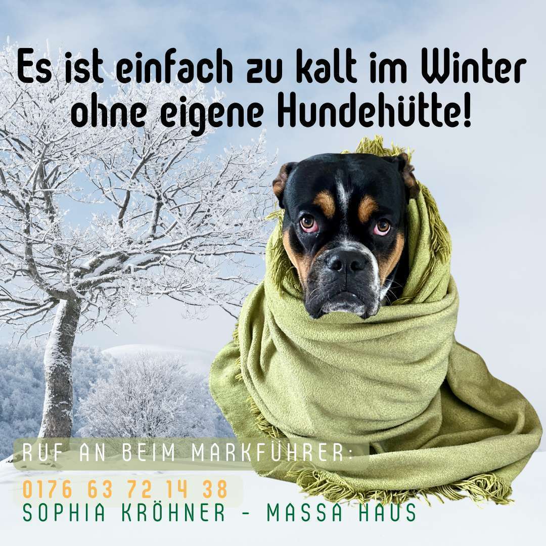 Ungewöhnliches Haus auf großem Grundstück