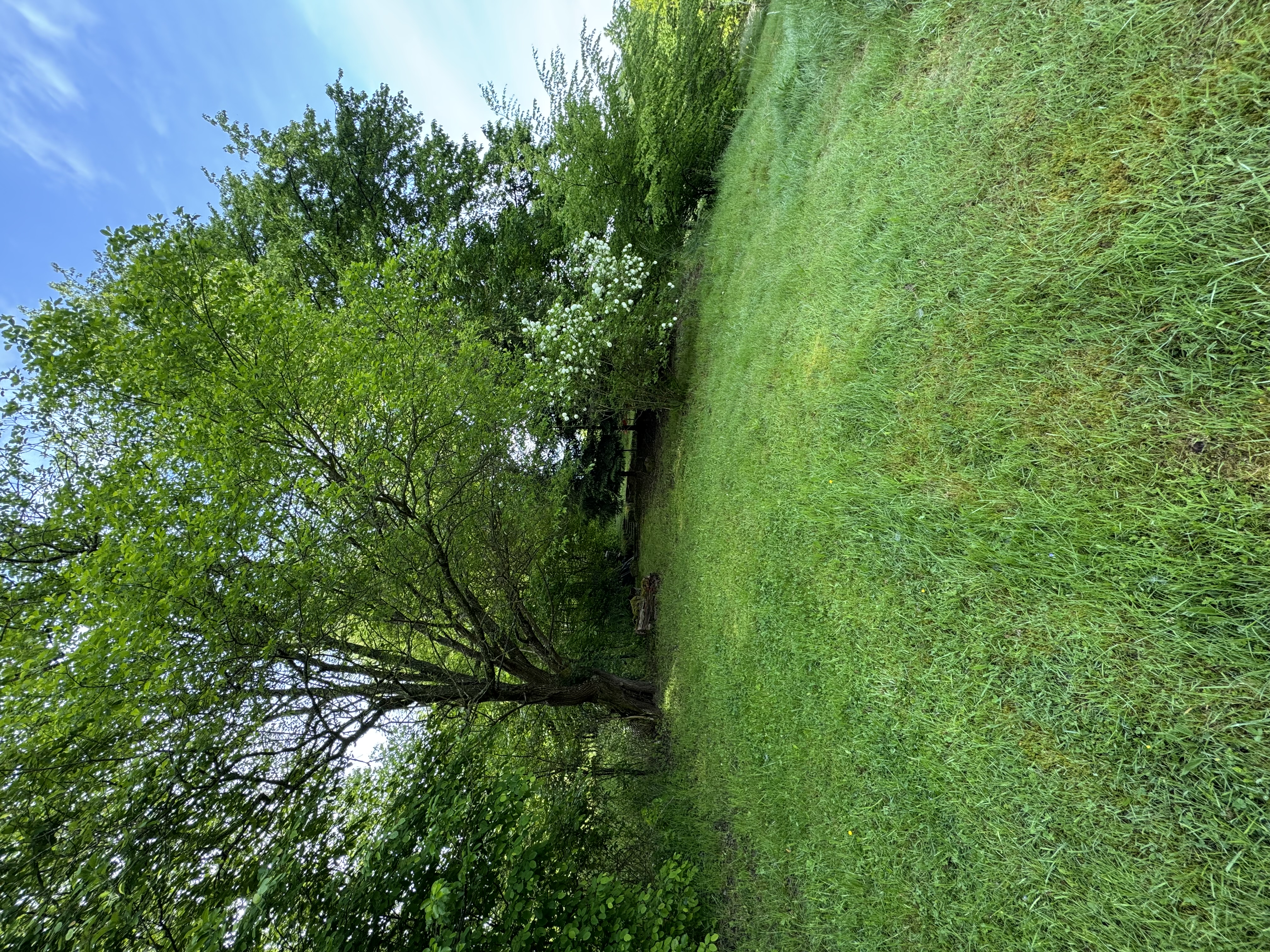 Zwischen Wald und Wohnkomfort – Gepflegtes Zweifamilienhaus mit großem Naturgrundstück – 33/41