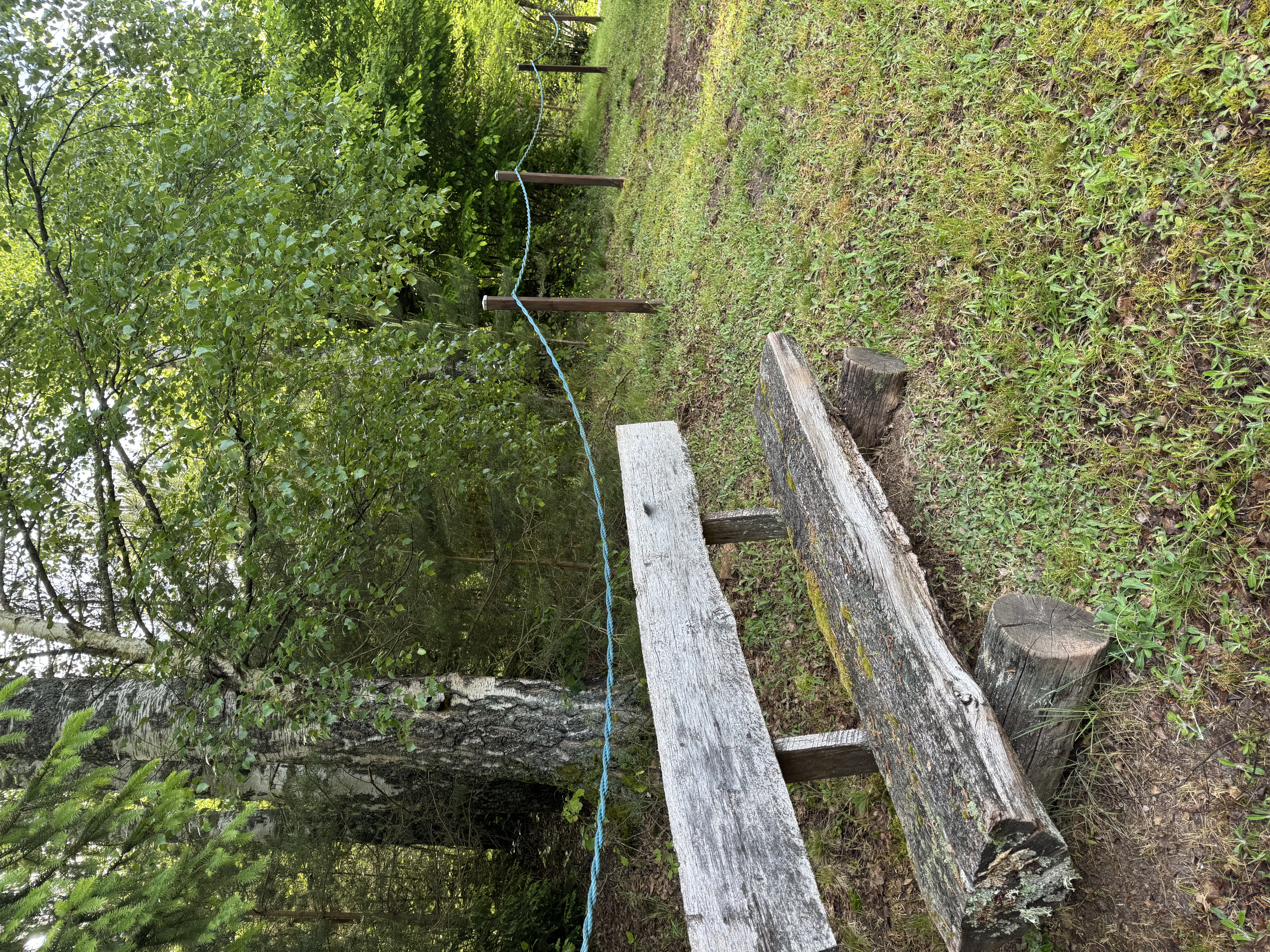 Zwischen Wald und Wohnkomfort – Gepflegtes Zweifamilienhaus mit großem Naturgrundstück – 39/41