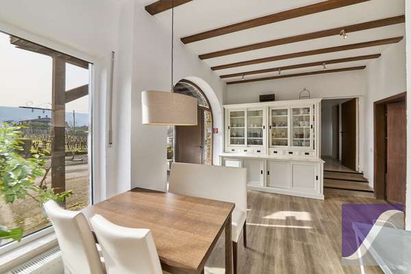 Idyllischer Moselhof inmitten berühmter Weinlagen - nur 1 km vor Bernkastel-Kues