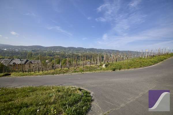 Graach: Baugrundstück mit Moselblick