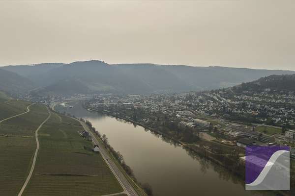 Idyllischer Moselhof inmitten berühmter Weinlagen - nur 1 km vor Bernkastel-Kues