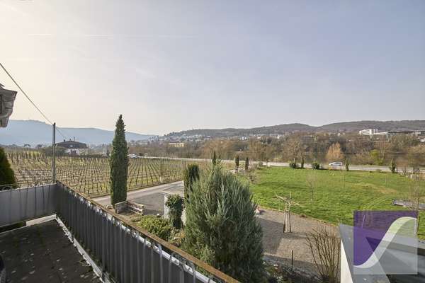 Idyllischer Moselhof inmitten berühmter Weinlagen - nur 1 km vor Bernkastel-Kues