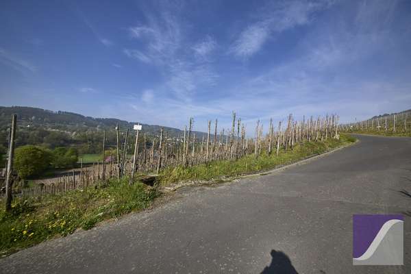 Graach: Baugrundstück mit Moselblick