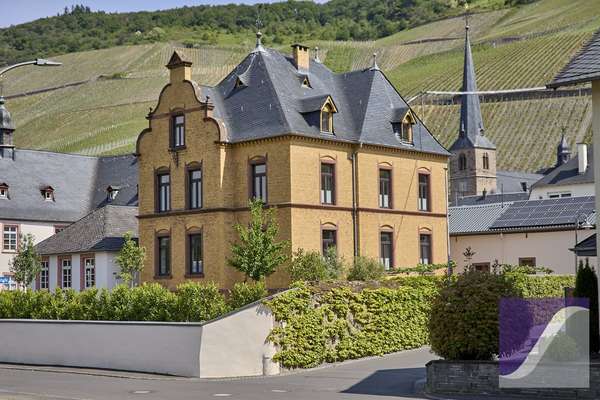 Exzellent sanierte Villa von 1896 mit Moselblick